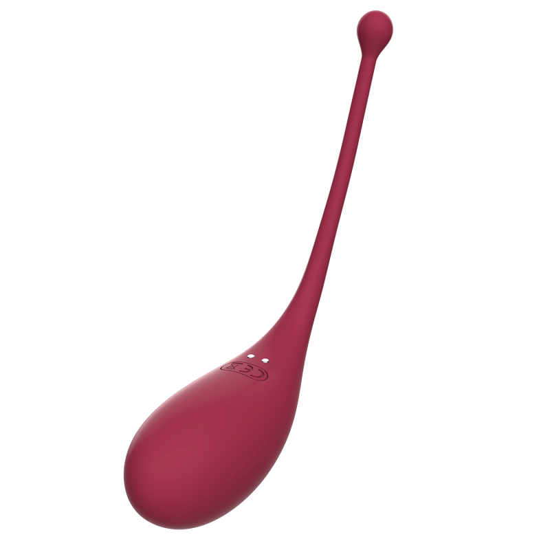 Coffret sextoys clitoridien et œuf vibrant - Adrien Lastic