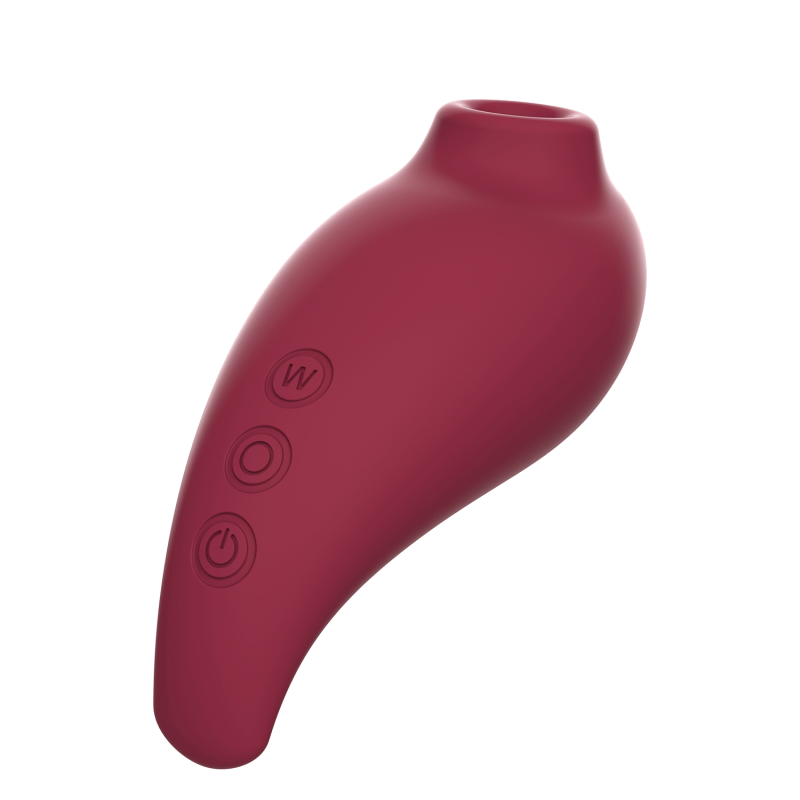 Coffret sextoys clitoridien et œuf vibrant - Adrien Lastic