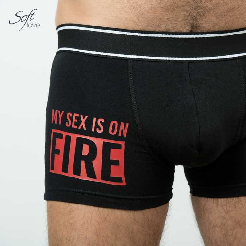 Boxer Fire