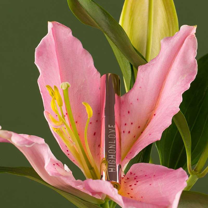 Brillant à lèvres - Gloss haut de gamme pour les couples