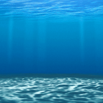 Fraicheur Marine